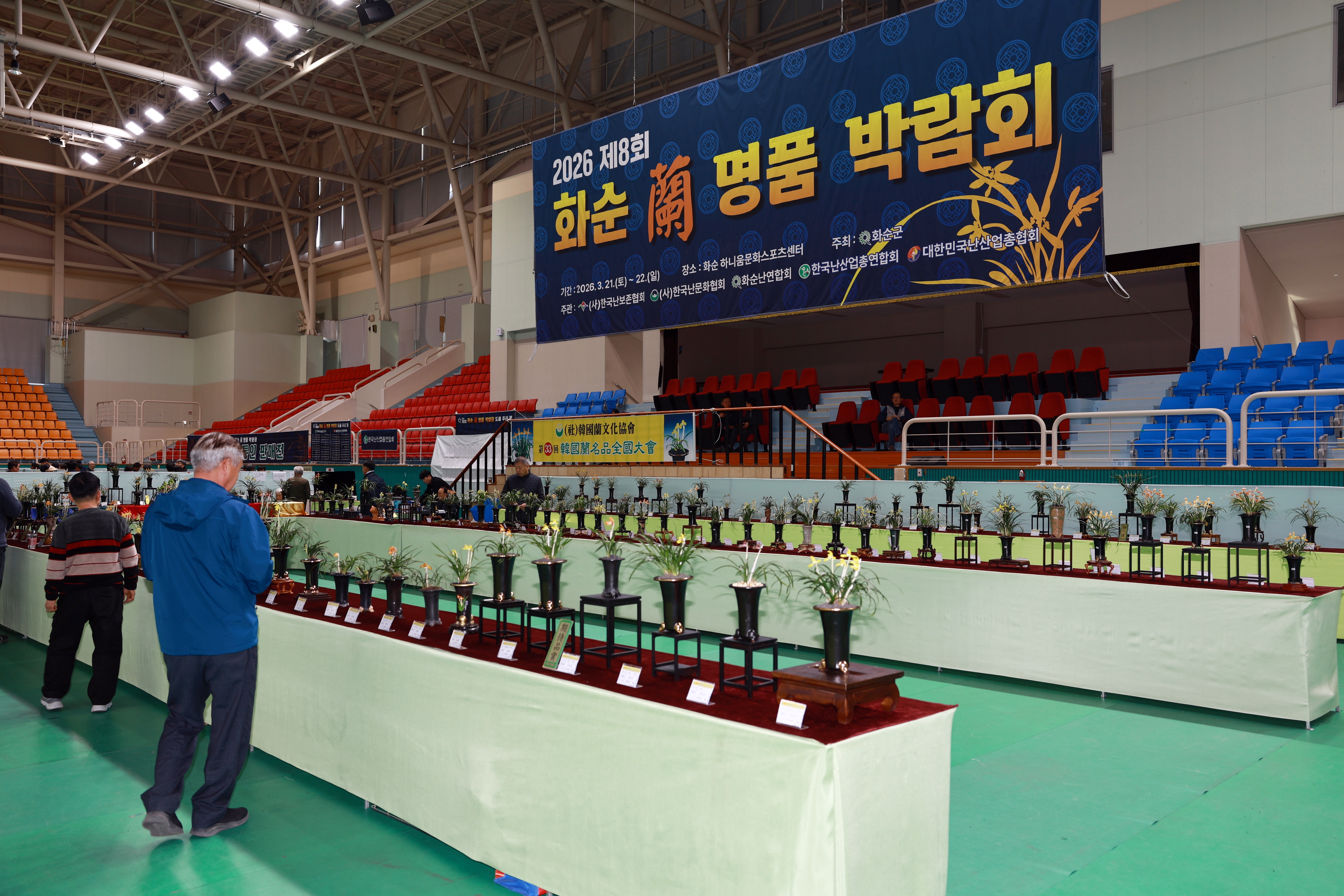 제8회 화순 난 명품 박람회 개최 사진5