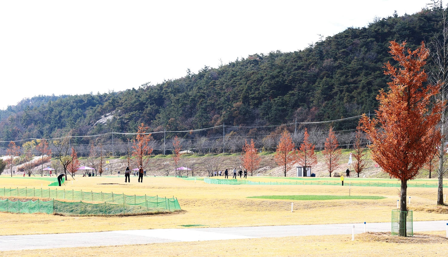 파크골프 친선대회 사진4